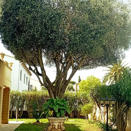 Apartment Rdc Villa Jardin Et Terrasse Agde