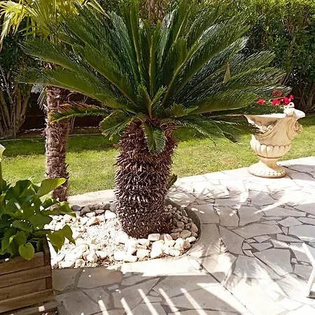Rdc Villa Jardin Et Terrasse Daire Agde
